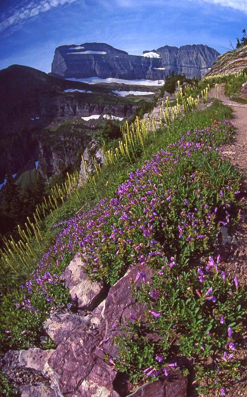 Glacier NP Aug-1990 Iceberg Lake 2.jpg